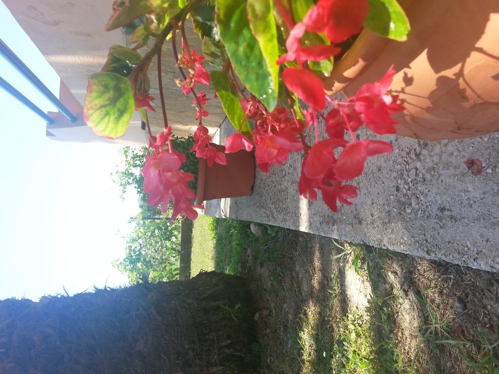 Feakes Apartments Αρίλλας Εξωτερικό φωτογραφία